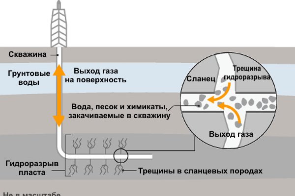 Как загрузить фото на блэк спрут