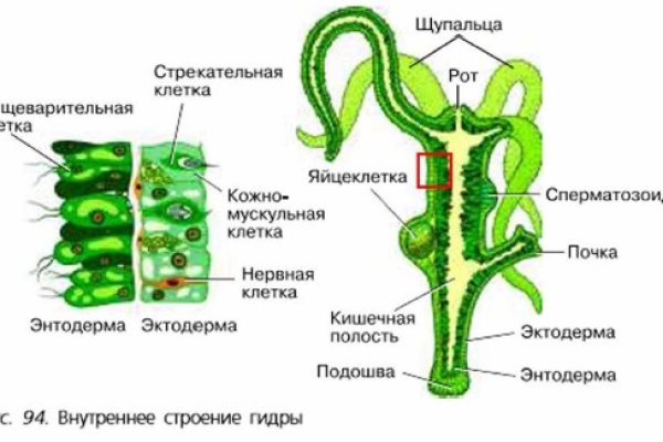 Тор blacksprut клаб