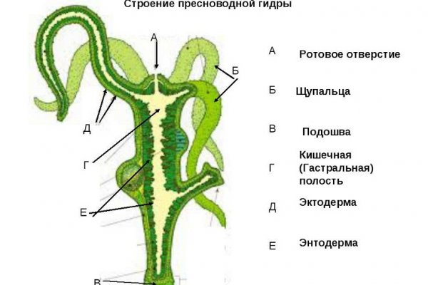 Блекспрут 2fa blacksprute com