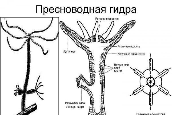 Https blacksprut net ru