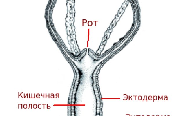 Открыть официальный сайт блэк спрут