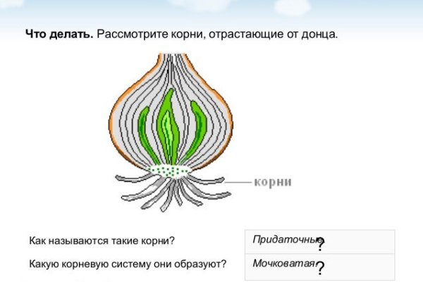 Блекспрут через тор blacksprut click